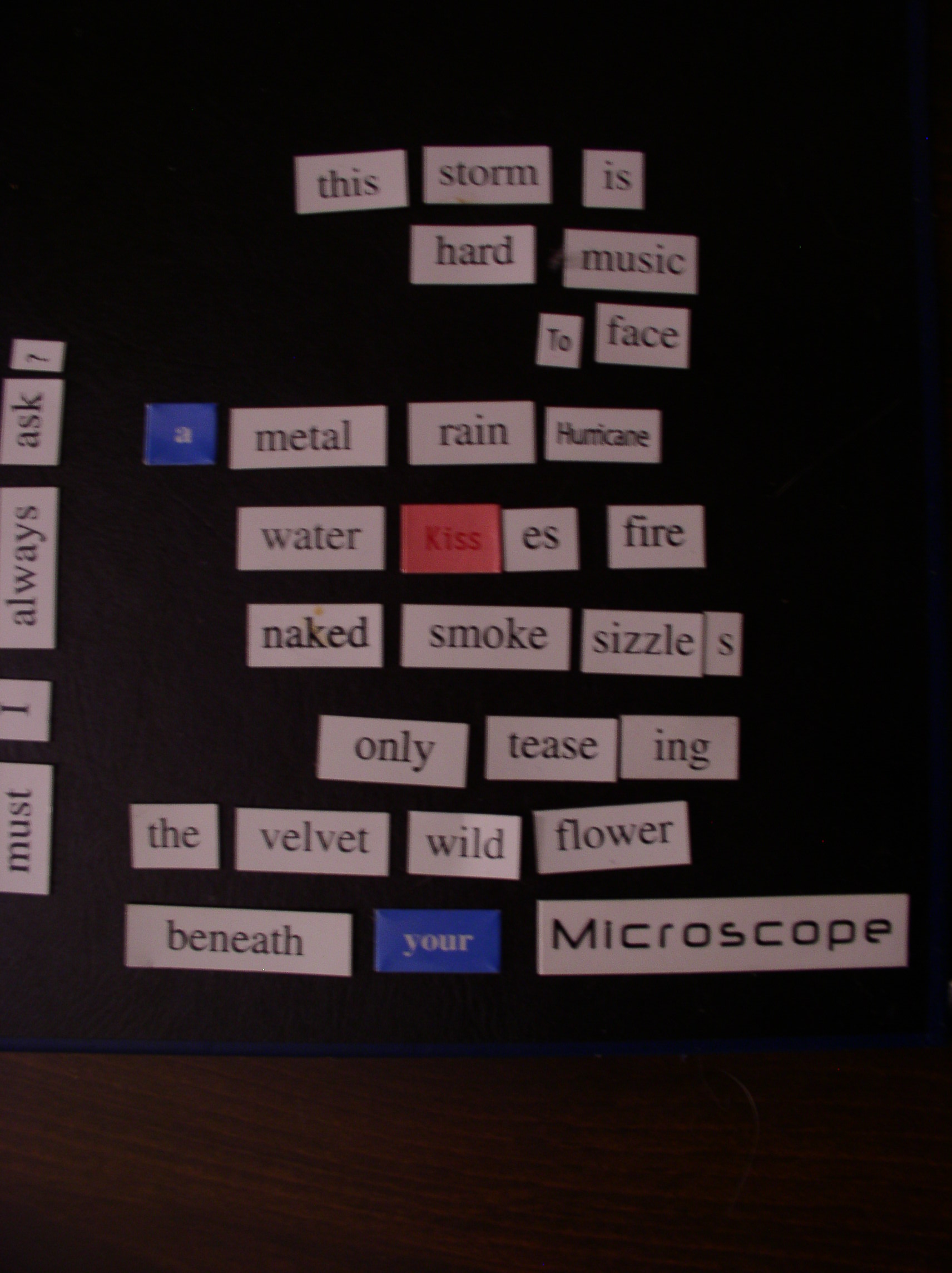 National Poetry Writing Month Magnetic Poetry, April 26, 2009