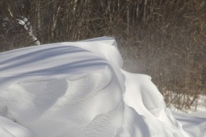 snowdrift