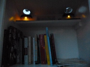 Solar lights allow browsing after dark!